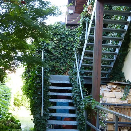 Apartment Eisvogel- Marienfelde