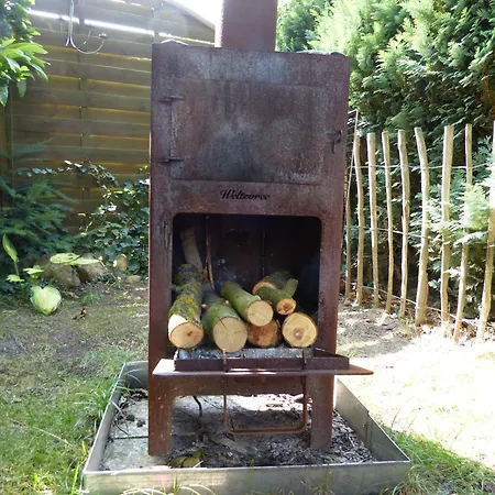 Eisvogel- Marienfelde